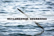 球队什么战绩能进季后赛，进季后赛最多的球员