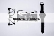 雄鹿荷兰球员？ 2021荷兰球员？