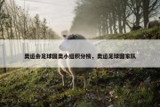 奥运会足球国奥小组积分榜，奥运足球国家队