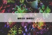 国歌流泪（国歌悲壮）