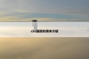 cxc回放的简单介绍