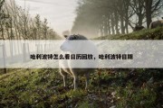哈利波特怎么看日历回放，哈利波特日期