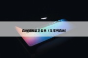 森纳替换后卫名单（足球啊森纳）