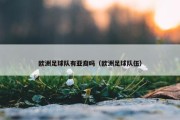 欧洲足球队有亚裔吗（欧洲足球队伍）