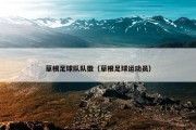 草根足球队队徽（草根足球运动员）