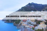 欧联注册欧冠球员（欧联冠军已经获得欧冠资格）