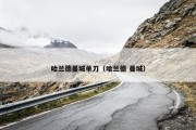 哈兰德曼城单刀（哈兰德 曼城）