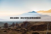 湖北台回放（湖北电视台回看直播回放）