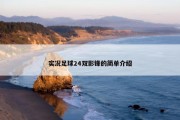 实况足球24双影锋的简单介绍
