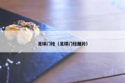 足球门柱（足球门柱图片）