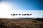 英超曼城卡片？ 英超联赛曼城？