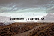 葡萄牙积分榜2024，葡萄牙积分榜一览表