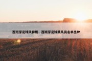 西班牙足球队特质，西班牙足球队队员名单出炉