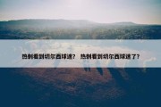 热刺看到切尔西球迷？ 热刺看到切尔西球迷了？