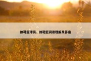 擦鞋匠球员，擦鞋匠阅读理解及答案
