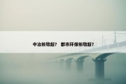 中冶熊敬超？ 都市环保熊敬超？