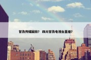 甘孜传媒回放？ 四川甘孜电视台直播？