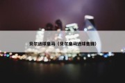 贝尔进球皇马（贝尔皇马进球集锦）