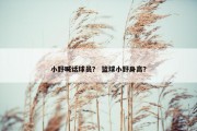 小野喊话球员？ 篮球小野身高？