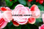 什么阵容打巨像（巨像选哪个）