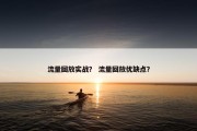 流量回放实战？ 流量回放优缺点？