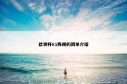 欧洲杯81阵规的简单介绍