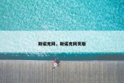斯诺克网，斯诺克网页版