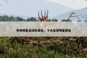 传承明星足球队排名，十大足球明星排名