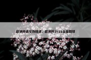 欧洲杯遇见伪球迷，欧洲杯2021全是假球