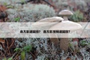 南方影道回放？ 南方影视频道回放？