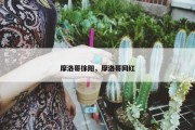 摩洛哥徐阳，摩洛哥网红
