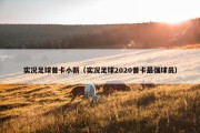 实况足球普卡小新（实况足球2020普卡最强球员）