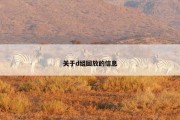 关于d组回放的信息