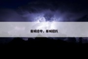 曼城经夺，曼城经历
