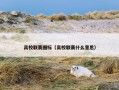 高校联赛图标（高校联赛什么意思）