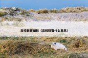 高校联赛图标（高校联赛什么意思）