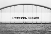 vct积分榜在哪看，vvdi积分获得