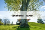 洛夫顿哪个球队？ 小洛夫顿？