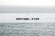 足球天下动画片，天下足球