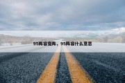 95阵容变阵，95阵容什么意思