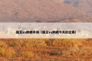 国王vs鹈鹕半场（国王vs鹈鹕今天的比赛）