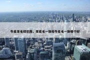 牛皮羊毛切尔西，羊皮毛一体和牛皮毛一体哪个好
