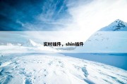 实时插件，shin插件