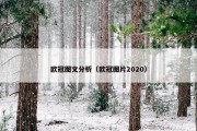 欧冠图文分析（欧冠图片2020）