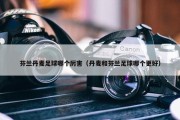 芬兰丹麦足球哪个厉害（丹麦和芬兰足球哪个更好）
