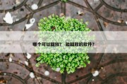 哪个可以回放？ 能回放的软件？