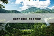 联盟有几个球队？ 有多少个联盟？