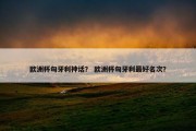 欧洲杯匈牙利神话？ 欧洲杯匈牙利最好名次？