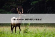 切尔西video（切尔西足球俱乐部）