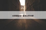 30终结皇马？ 皇马30号小将？